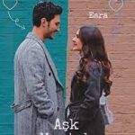 دانلود سریال عشق منطق انتقام Ask Mantik Intikam با زیرنویس فارسی